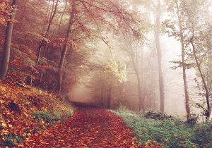 تابلو فرش طرح منظره کد 600045