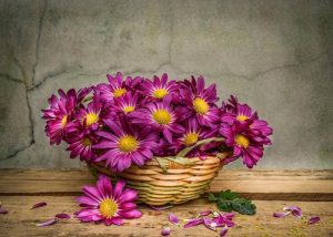 فرش ماشینی طرح گل کد 500013