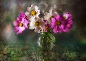 فرش ماشینی طرح گل کد 50003