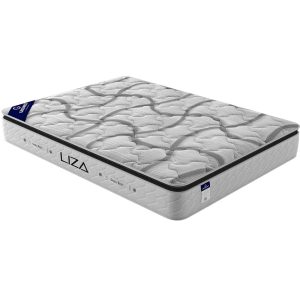 تشک گرین رست لیزا